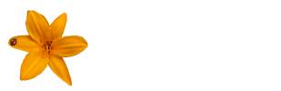 Lisas Flower Studio